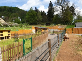 2021 Chov domácích zvířat a zooterapie