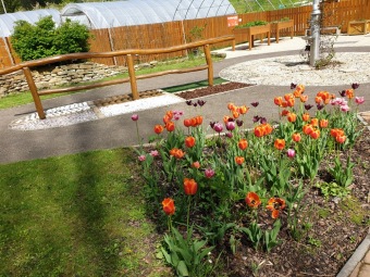 2021 Chov domácích zvířat a zooterapie