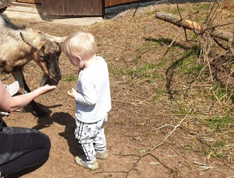 2021 Český dvorek otevřen i pro veřejnost