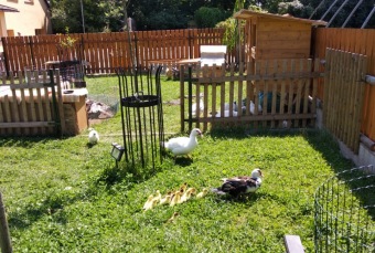 2021 Chov domácích zvířat a zooterapie