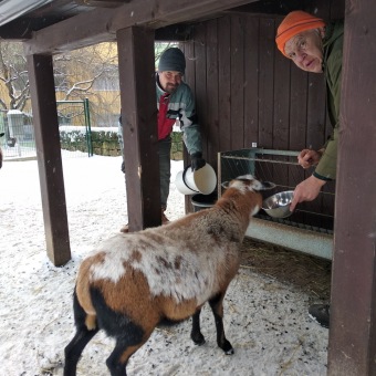 2021 Chov domácích zvířat a zooterapie