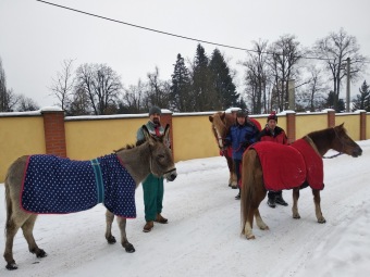 2021 Chov domácích zvířat a zooterapie