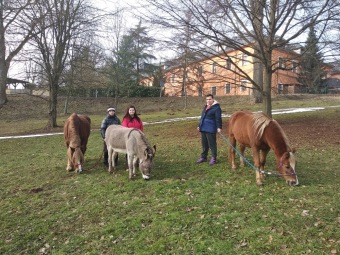 2021 Chov domácích zvířat a zooterapie