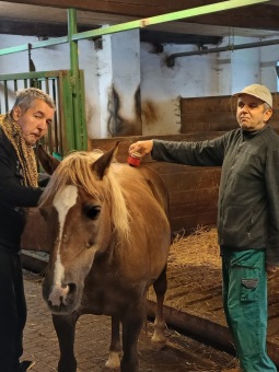 Dne 19.11. 2024 v 18:50 od nás odešla parťačka Sára...