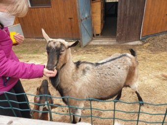 2021 Chov domácích zvířat a zooterapie