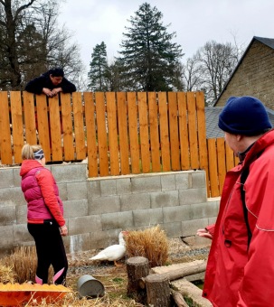 2021 Chov domácích zvířat a zooterapie