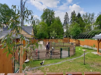 2021 Chov domácích zvířat a zooterapie