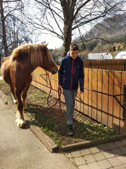 2021 Chov domácích zvířat a zooterapie