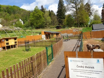 2021 Chov domácích zvířat a zooterapie