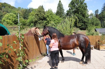 2025 Rebeka - naše nová klisnička si zvyká na nový domov (8.9.)
