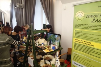 3.12. 2014 II. Adventní výstava - Krajský úřad Pardubice s vystoupením Barbušáků