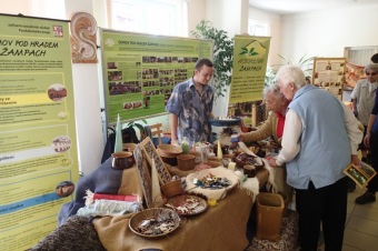 Veletrh sociálních služeb - Žamberk - 4.9.2014