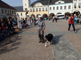 24.9. 2015 Integrační den Ústí n. Orl.  - Barbušáci a canisterapie p. Loučky