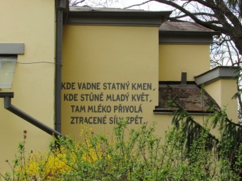 Vernisáž výstavy Tomáše Rybičky - Hamzova léčebna Luže - Košumberk - 7.4. 2016