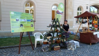 2017 prezentace domova - Den Pardubického kraje (9.6.)