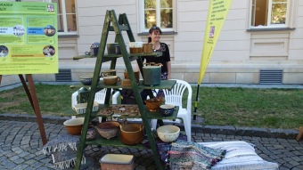 2017 prezentace domova - Den Pardubického kraje (9.6.)