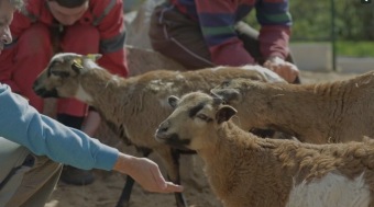 2017 fotografie z dokumentárního filmu Domov pod hradem více než 50 let života
