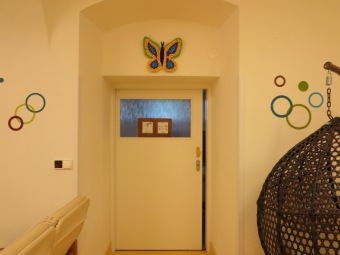 Specializovaná služba - Na Výsluní - prohlídka (2019)