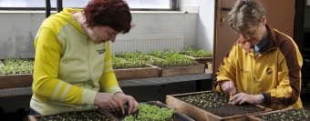 2017 Sociálně terapeutické dílny (STD) - z nabídky činností služby