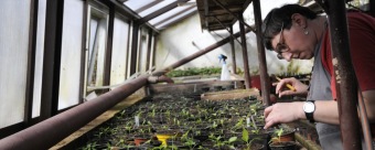 2017 Sociálně terapeutické dílny (STD) - z nabídky činností služby