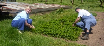 2017 Sociálně terapeutické dílny (STD) - z nabídky činností služby