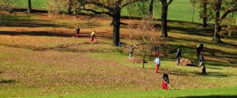 2017 Sociálně terapeutické dílny (STD) - z nabídky činností služby