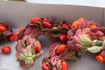 2018 Den otevřených dveří (9.10.) v týdnu sociálních služeb ČR