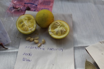 2018 Den otevřených dveří (9.10.) v týdnu sociálních služeb ČR