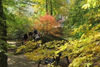 2018 Den otevřených dveří (9.10.) v týdnu sociálních služeb ČR