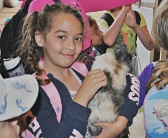 2019 Zooterapie - Český dvorek - příprava areálu