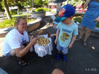 2019 Den dobrovolnictví Pardubického kraje Ústí nad Orlicí (4.6.)