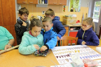 8.10. 2019 - Den otevřených dveří v rámci Týdne sociálních služeb ČR - APSS