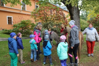 8.10. 2019 - Den otevřených dveří v rámci Týdne sociálních služeb ČR - APSS