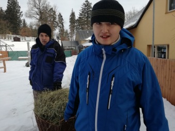 2019 Specializovaná služba (SSDD) - aktivity - zooterapie (20.1.)