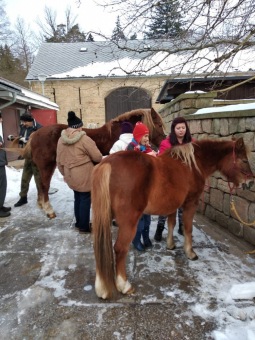 2019 Specializovaná služba (SSDD) - aktivity - zooterapie (20.1.)