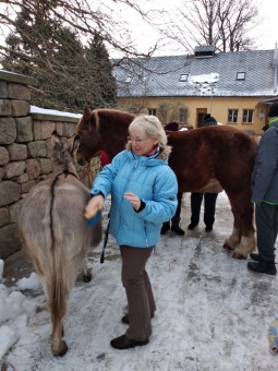 2019 Specializovaná služba (SSDD) - aktivity - zooterapie (20.1.)