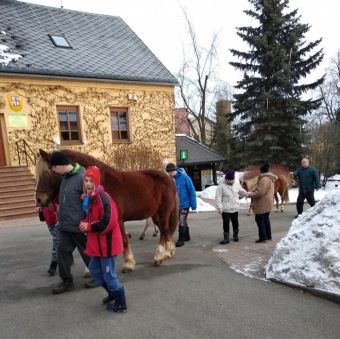 2019 Specializovaná služba (SSDD) - aktivity - zooterapie (20.1.)