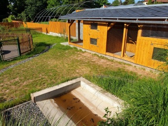 Dvoreček je připraven pro nová zvířátka a rozšíření ZOO terapie uživatelů našich služeb.