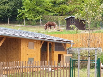 2020 Český dvorek - dokončení - vybavení pro chov...