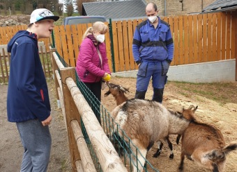 2021 Český dvorek a zooterapie