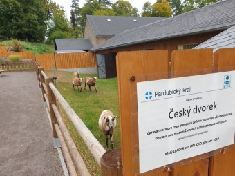 2020 Český dvorek - dokončení - vybavení pro chov...