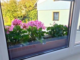 2022 Den otevřených dveří (4.10.) v týdnu soc. služeb ČR - domek Žamberk