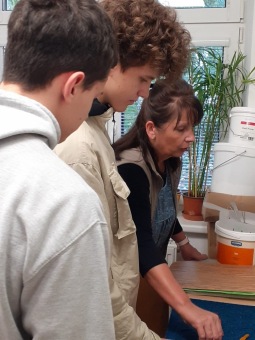 2025 Den otevřených dveří (30.9.) v týdnu soc. služeb ČR