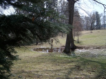 Dolní park, rybníček na jaře, bledule jarní  
