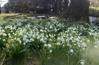 Příchod jara do Arboreta Žampach - dolní park - 18.3.2015