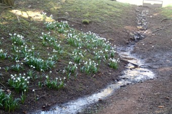 Příchod jara do Arboreta Žampach - dolní park - 18.3.2015