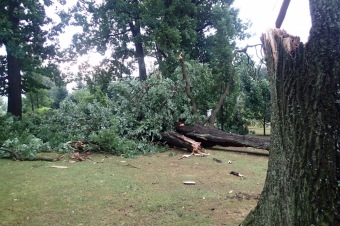 Škody v Arboretu Žampach po noční bouři dne 8.7.2015