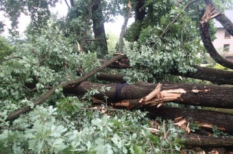 Škody v Arboretu Žampach po noční bouři dne 8.7.2015