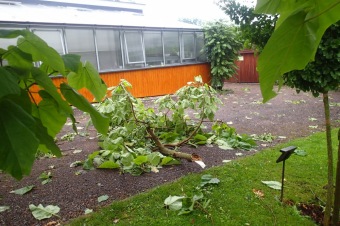 Škody v Arboretu Žampach po noční bouři dne 8.7.2015