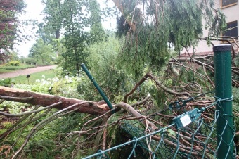 Škody v Arboretu Žampach po noční bouři dne 8.7.2015